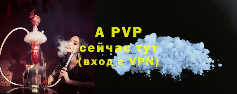 A-PVP СК КРИС  Кизел 