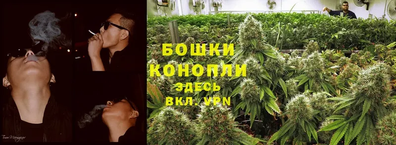 цена   Кизел  Конопля OG Kush 